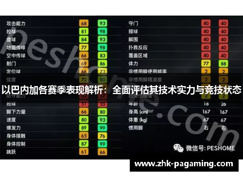 以巴内加各赛季表现解析：全面评估其技术实力与竞技状态
