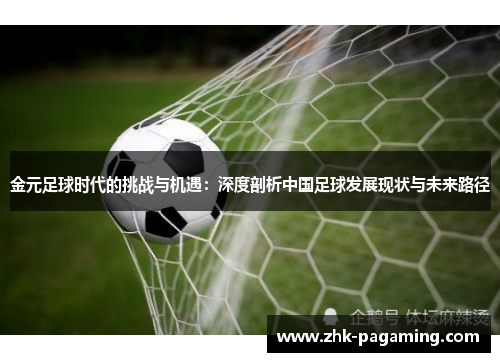 金元足球时代的挑战与机遇：深度剖析中国足球发展现状与未来路径