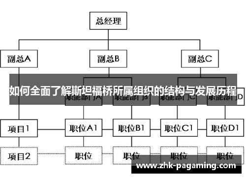 如何全面了解斯坦福桥所属组织的结构与发展历程